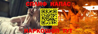 винт Славгород